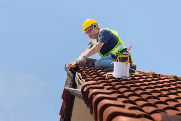 Best Roofing for New Construction  in Vero Beach South, FL